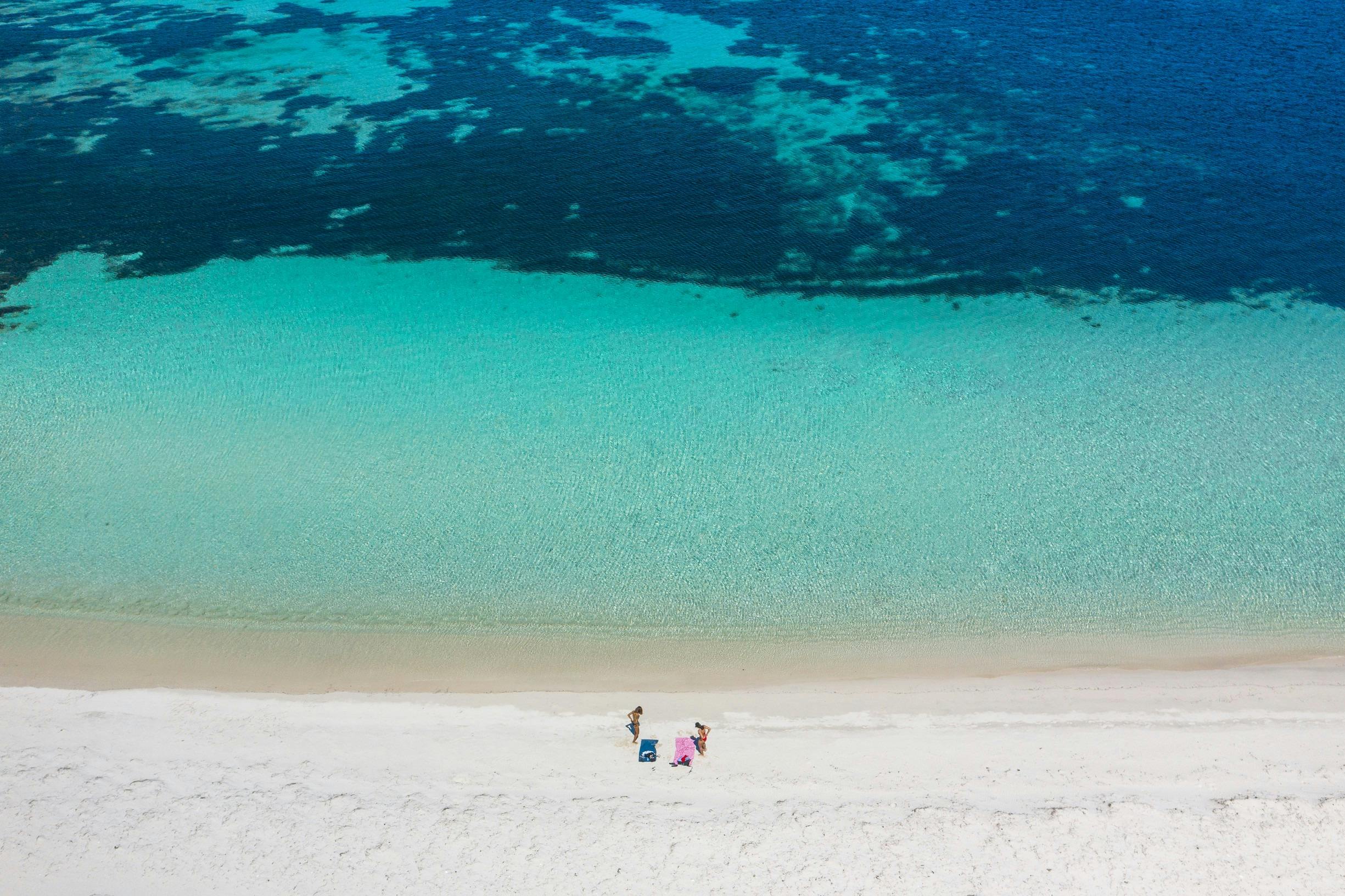 Salmon Bay