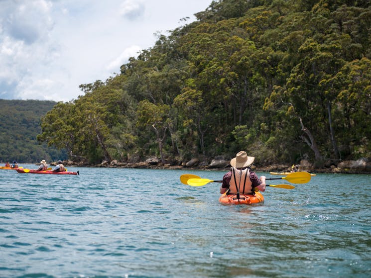 Wine and Seafood Kayak Tour