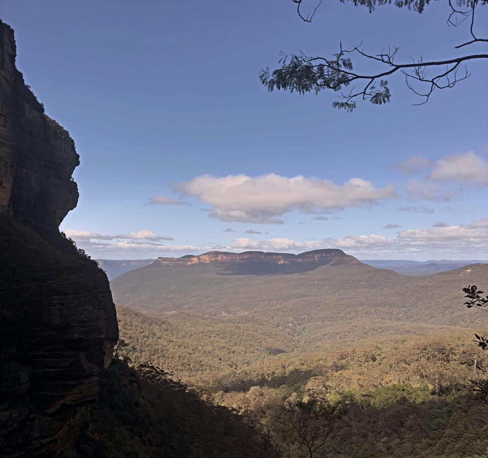 ジェイミソン渓谷の岩石層の展望台からの眺め