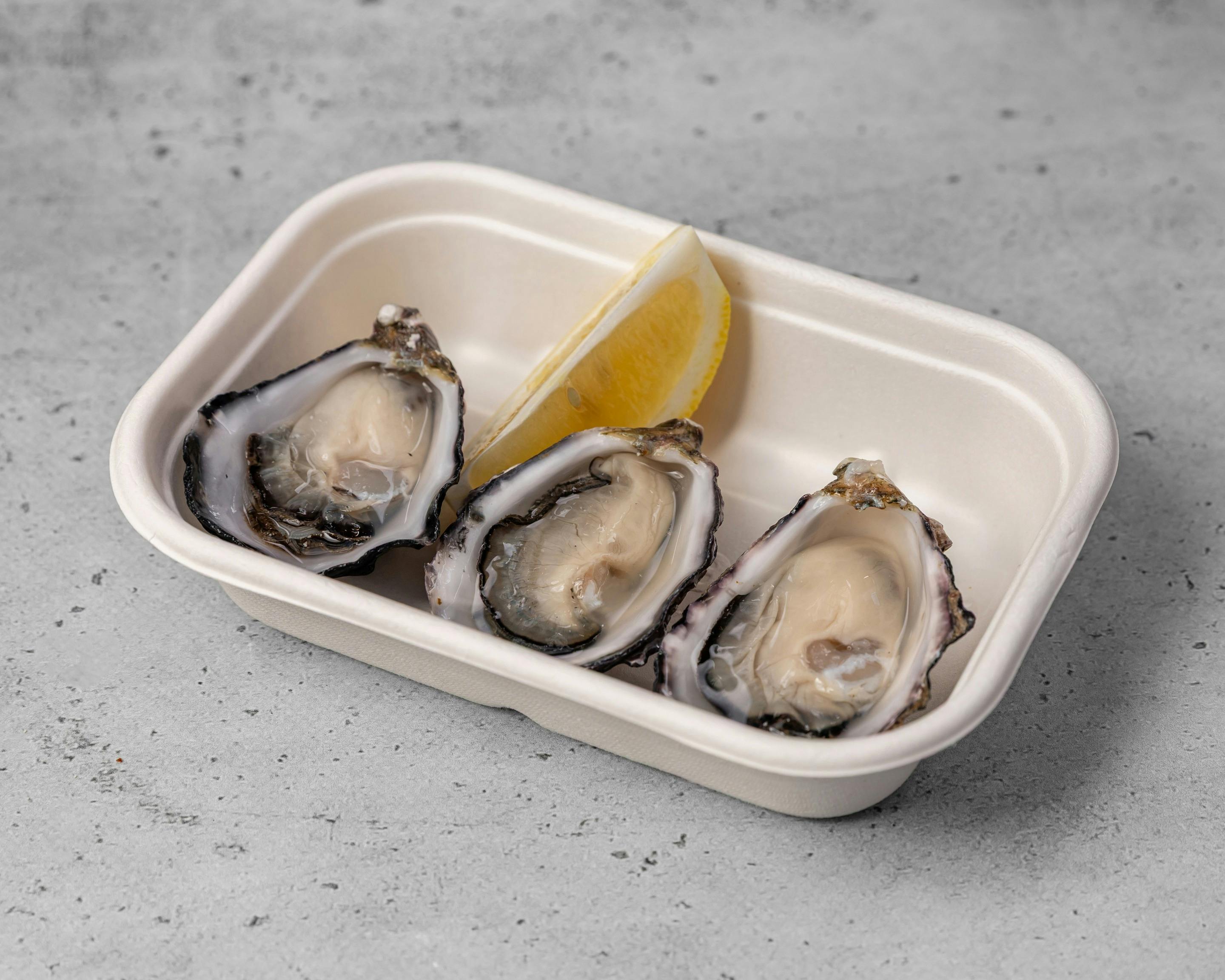 시드니 록 오이스터