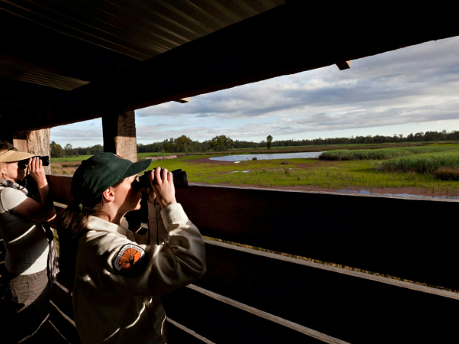 Reed Beds Bird Hide Boardwalk