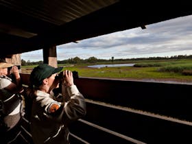 Reed Beds Bird Hide Boardwalk
