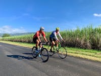 Far North Queensland is know for it's sugar cain. See it for yourself.