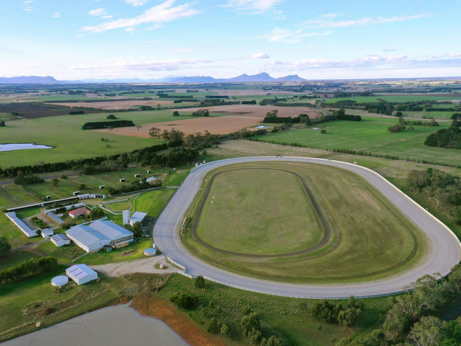 Hamilton Harness