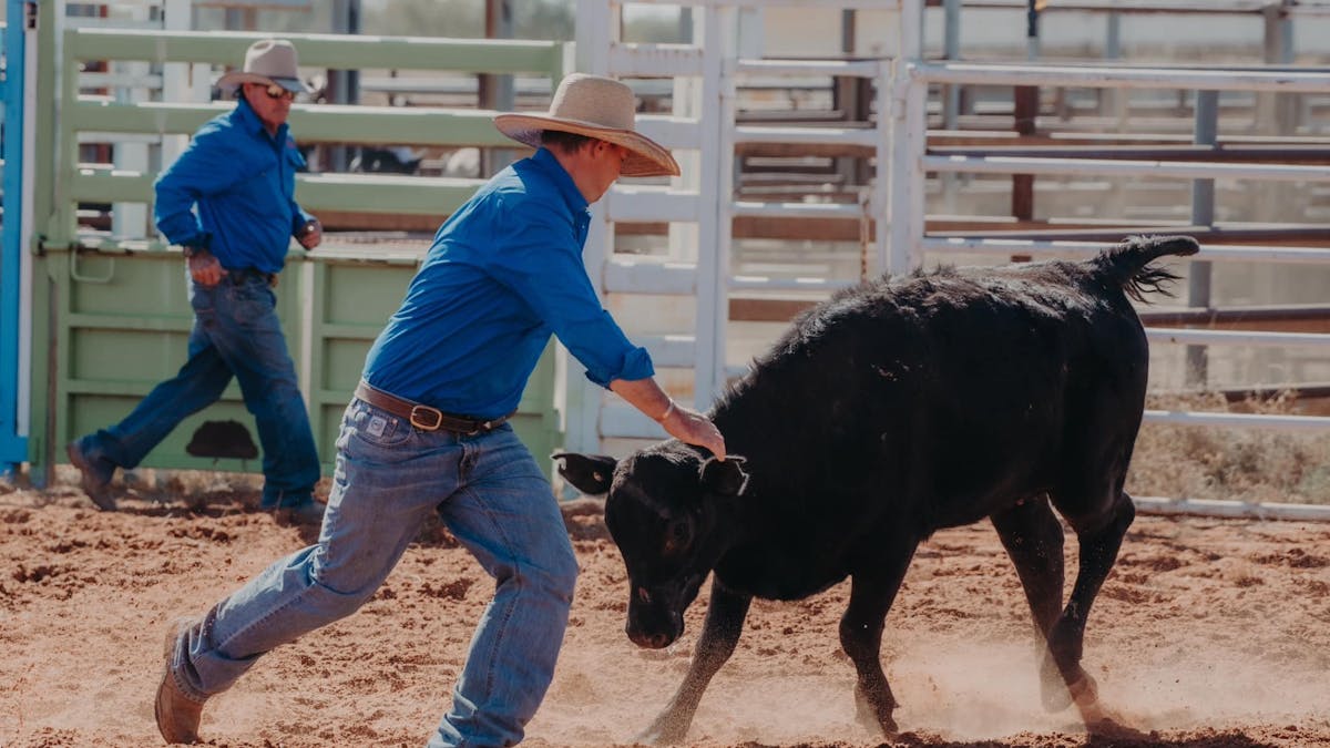Rodeo