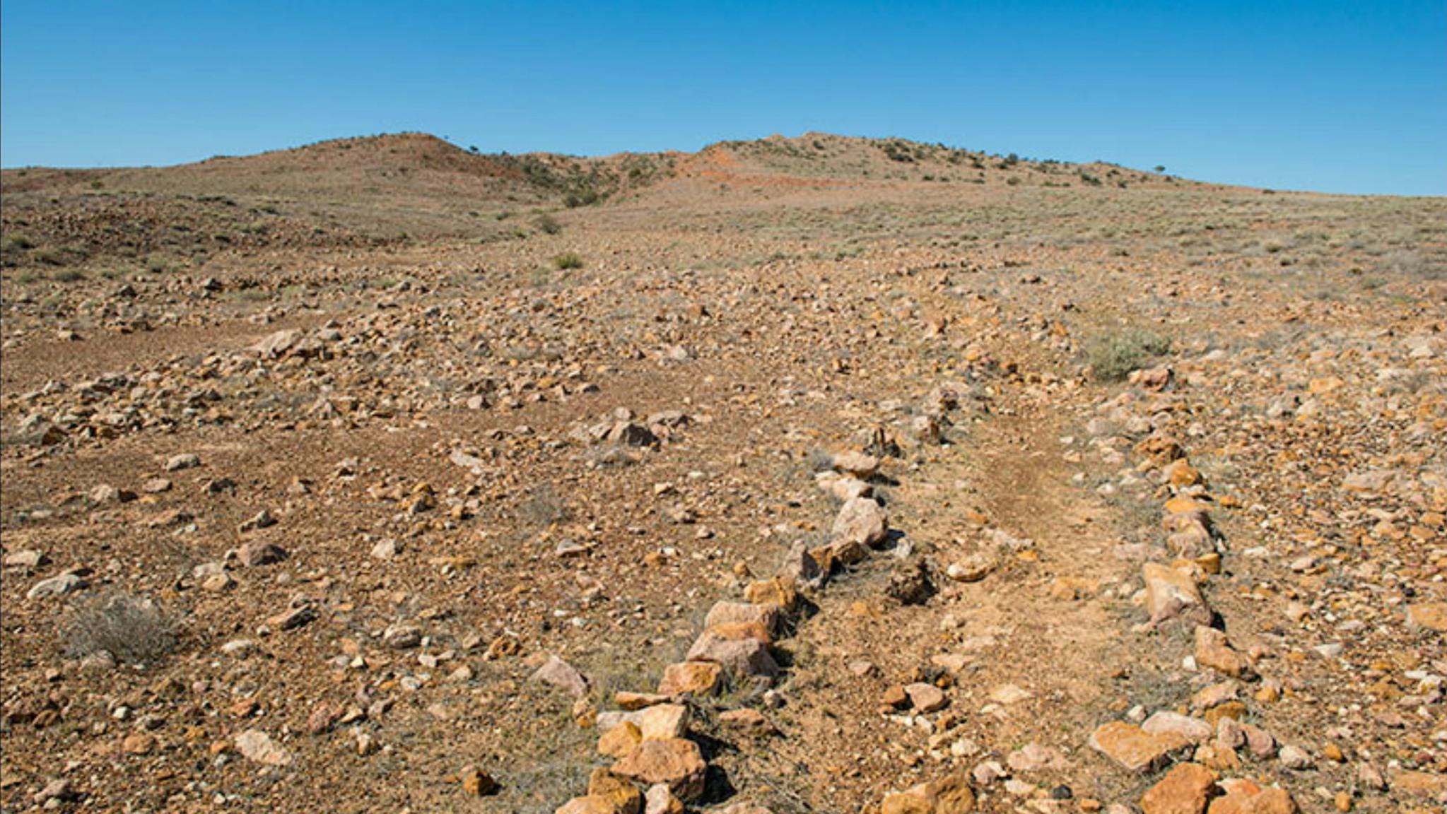 Mount Wood Summit walking track