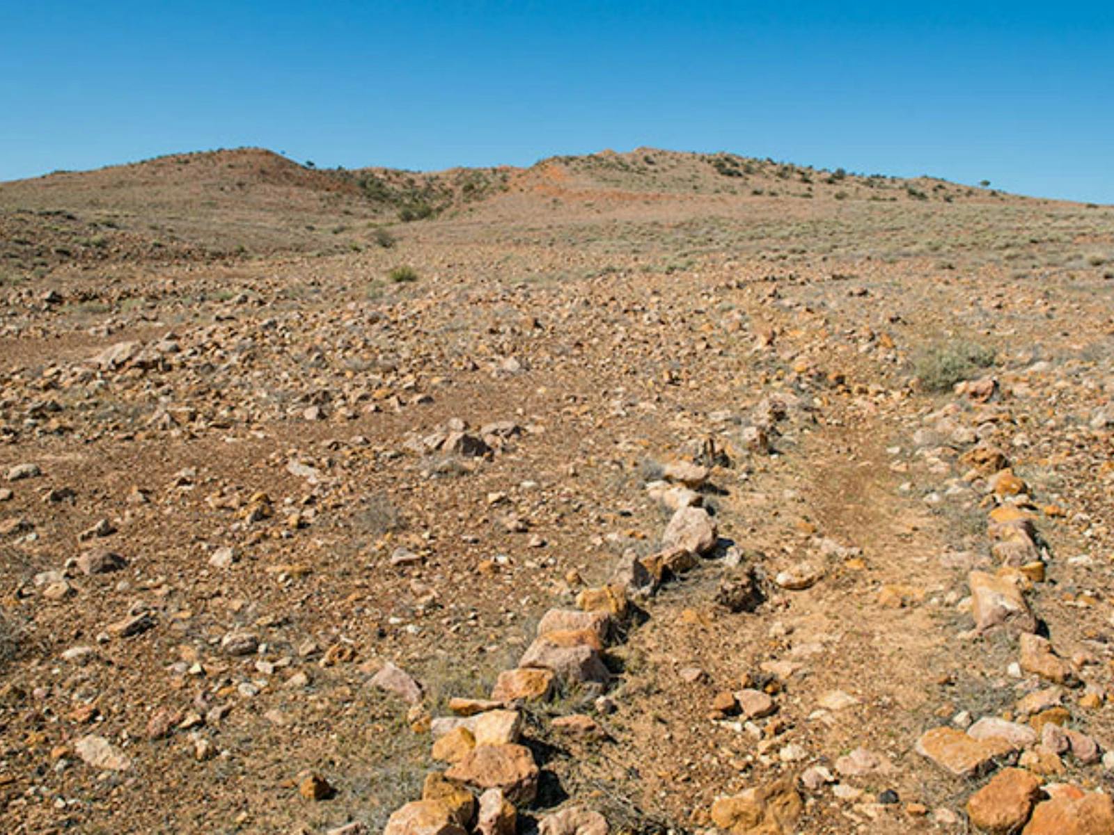 Mount Wood Summit Wanderweg