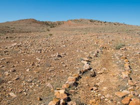 Mount Wood Summit walking track