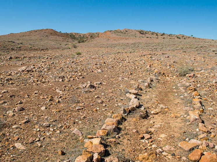 Mount Wood Summit walking track