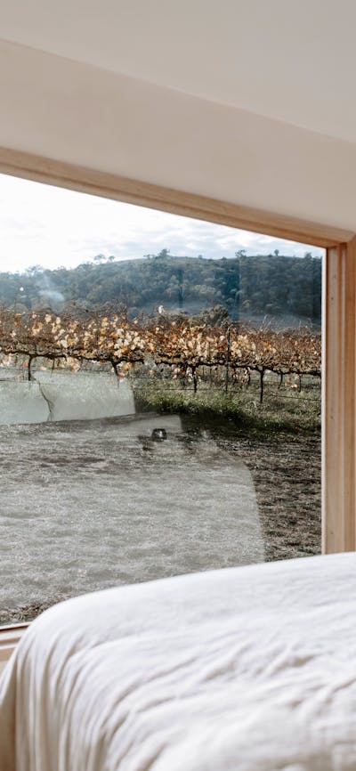 Waking up in Dinny, with vines at the foot of your bed.