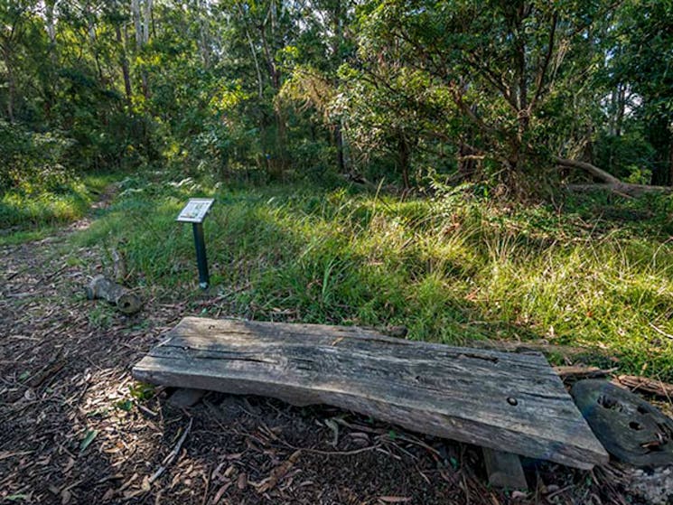 Browns Forest loop trail, Dalrymple-Hay Nature Reserve. Photo: John Spencer