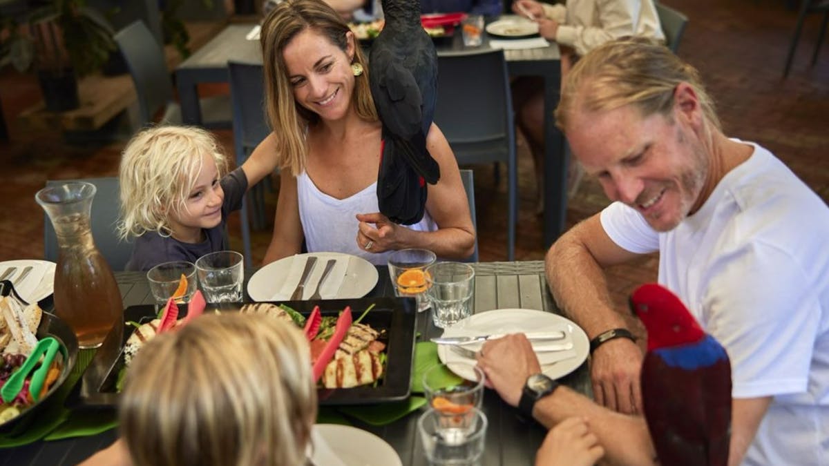 Family interacting with black cockatoos and parrots at Breakfast with the Birds experience