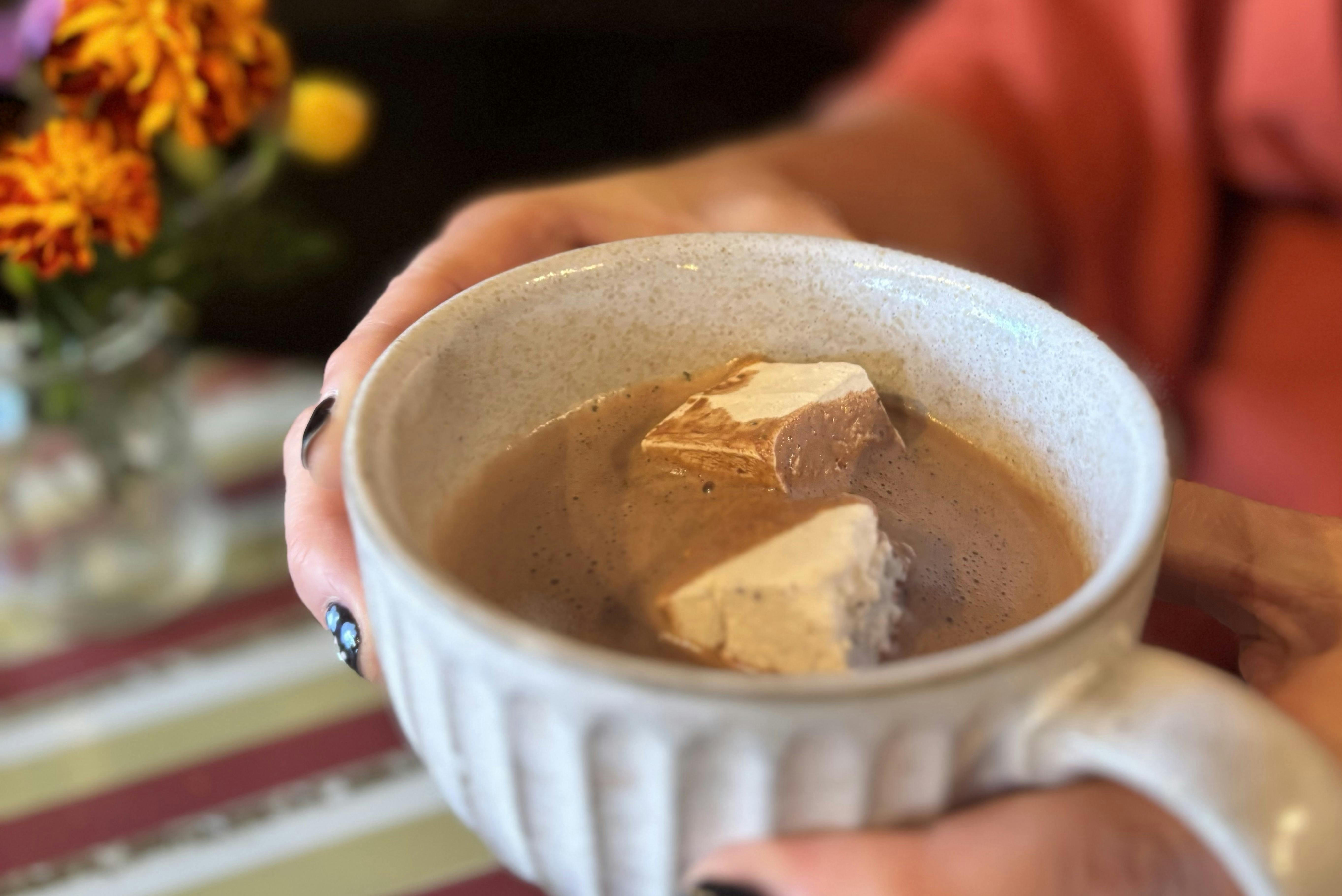 A mug of hot chocolate