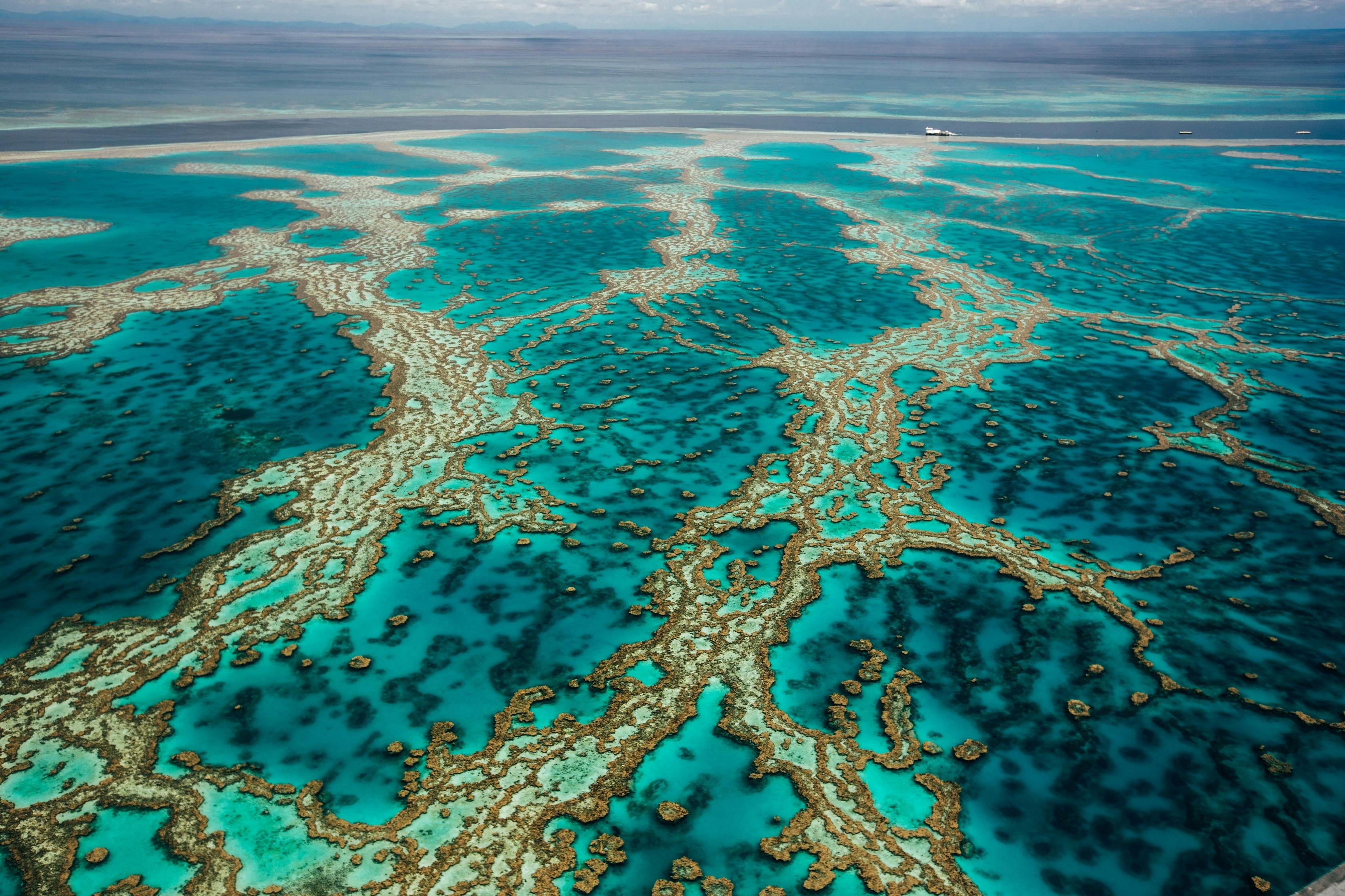 Hardy Reef