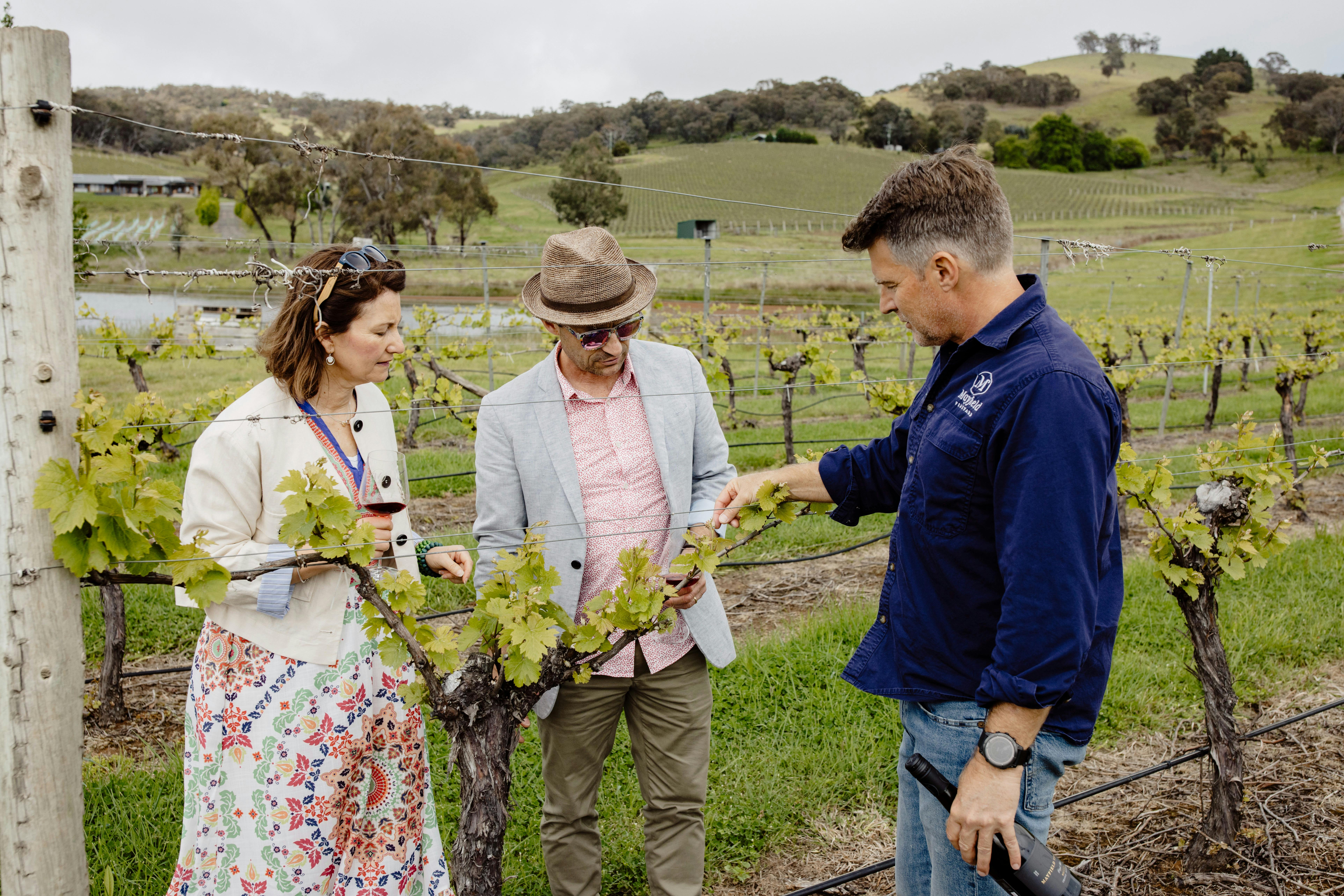 포도원 시음 투어