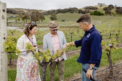 Vineyard Tasting Tour#2