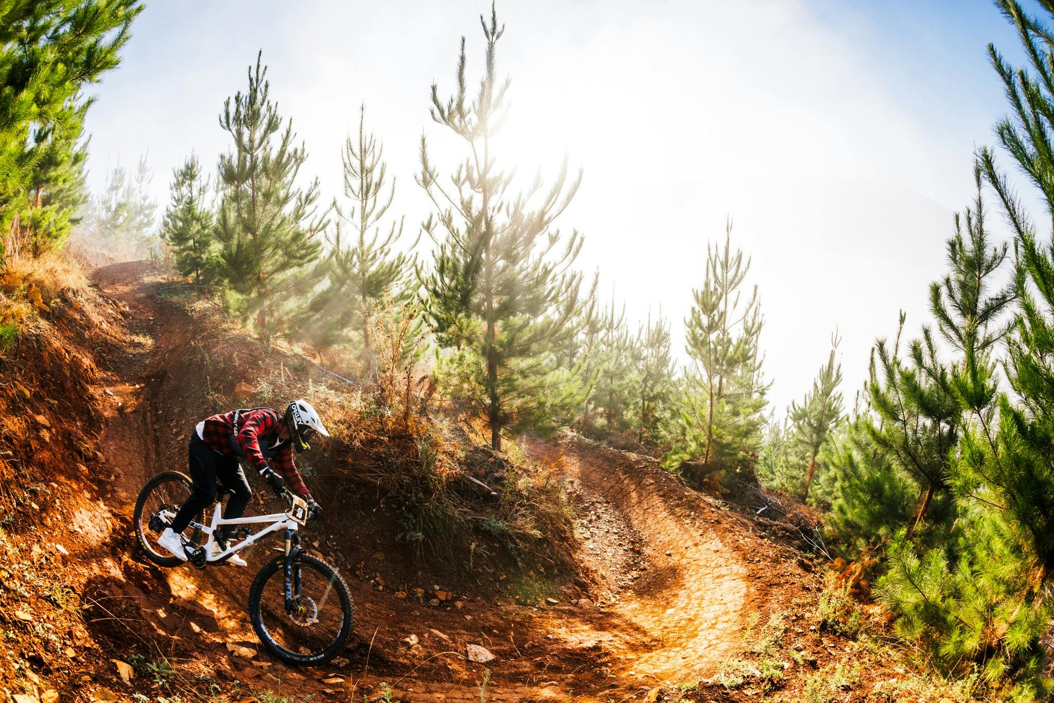 Rider with off road bicycle on singletrack surrounded by pine and fog in the mountains in Bright