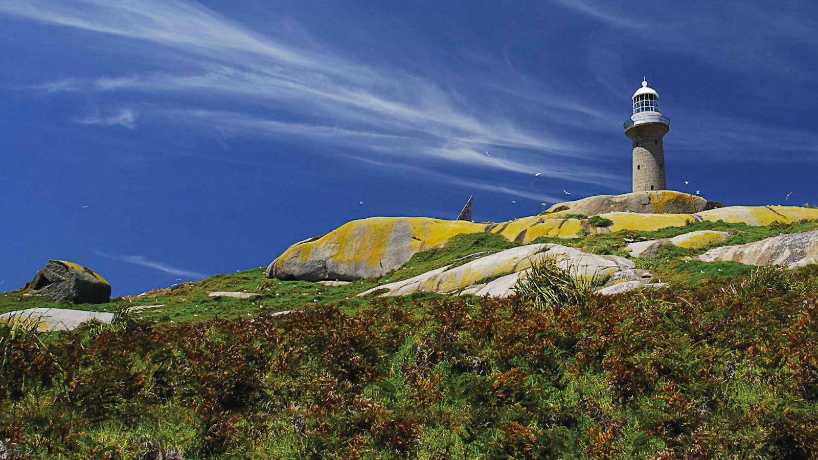 Montague Island Lighthouse