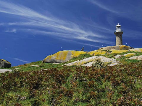 Montague Island Lighthouse