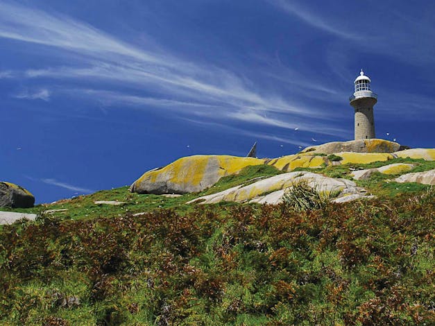 Montague Island Lighthouse