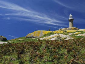 Montague Island Lighthouse