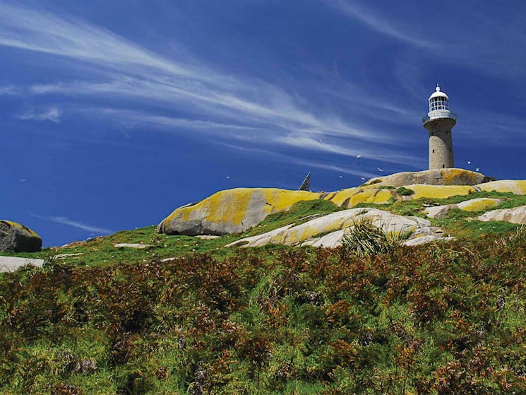 Montague Lighthouse. Photo:Stuart Cohen