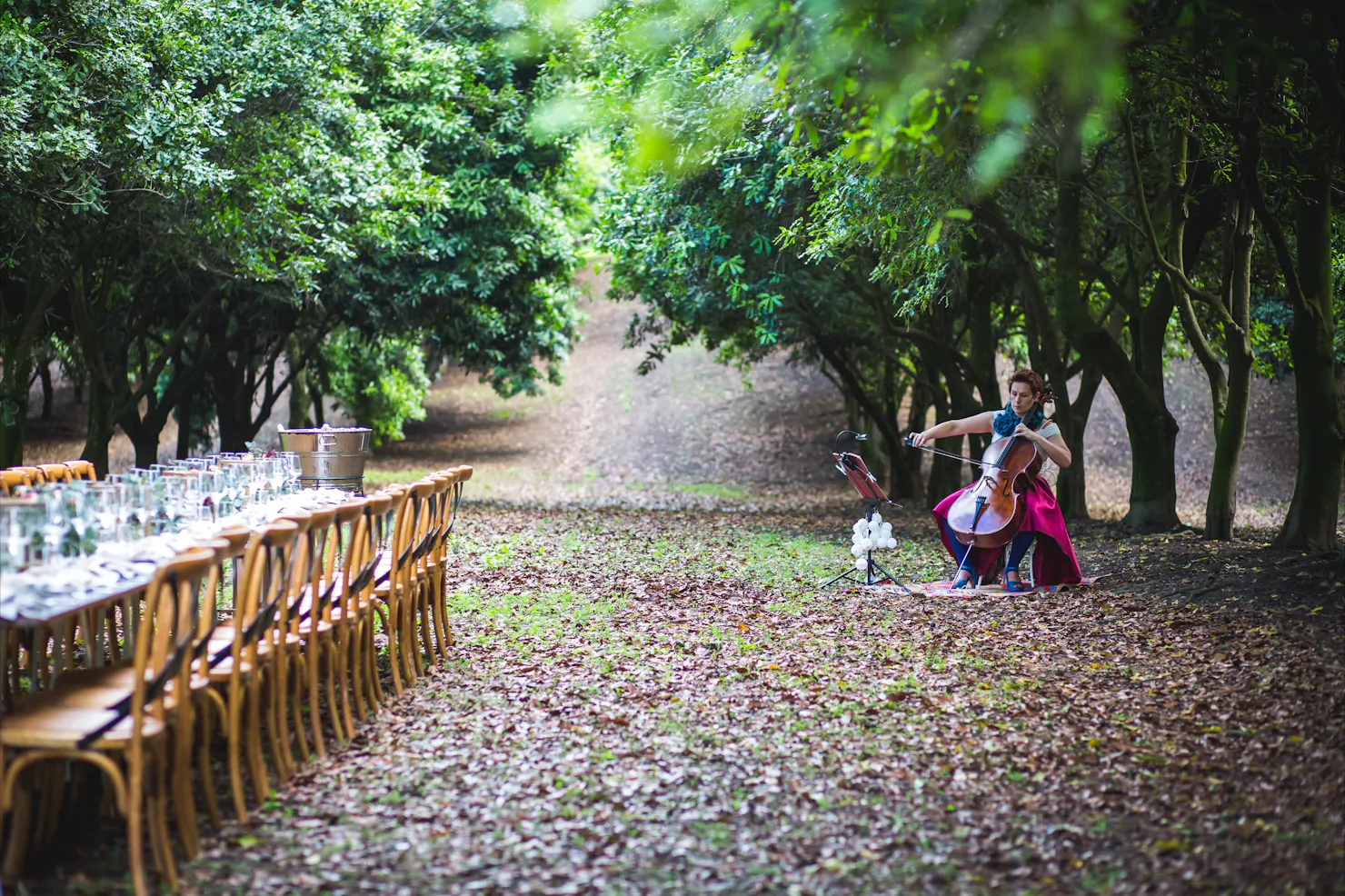 Long Lunch In The Groves