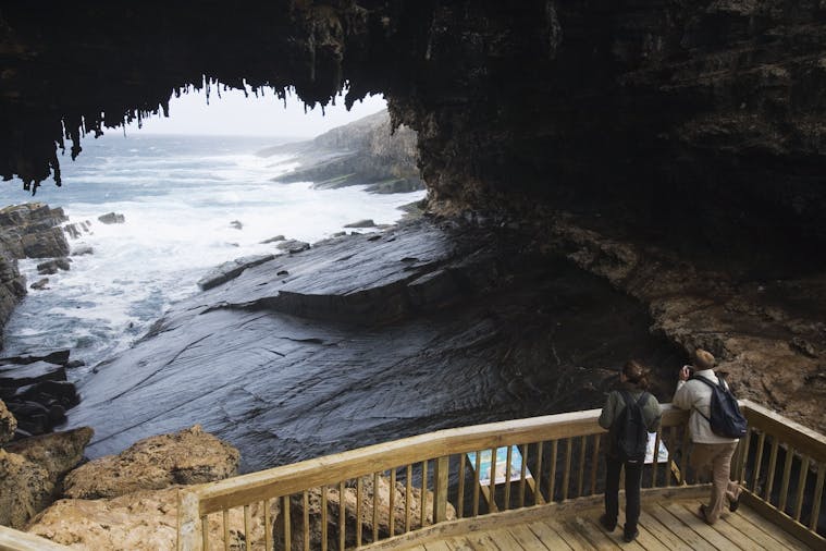 One Day Kangaroo Island Experience