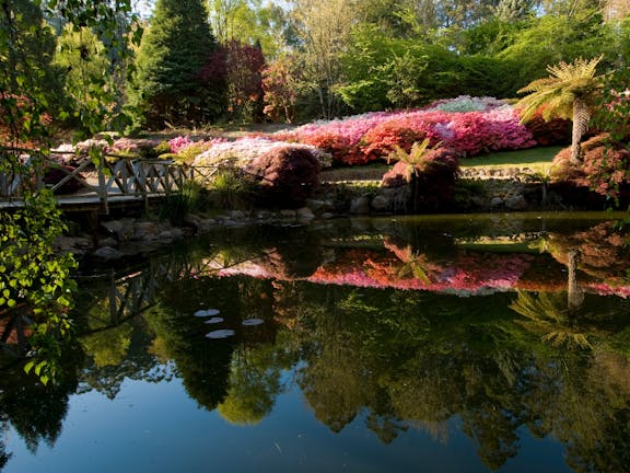 Dandenong Ranges Botanic Garden