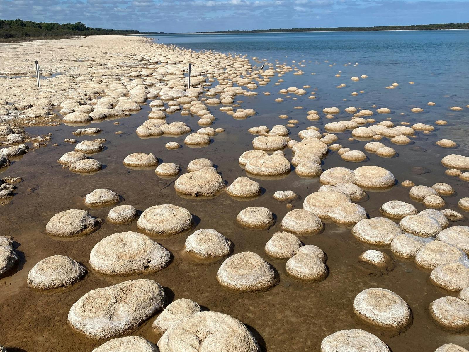 Lake Clifton - Yalgorup National Park