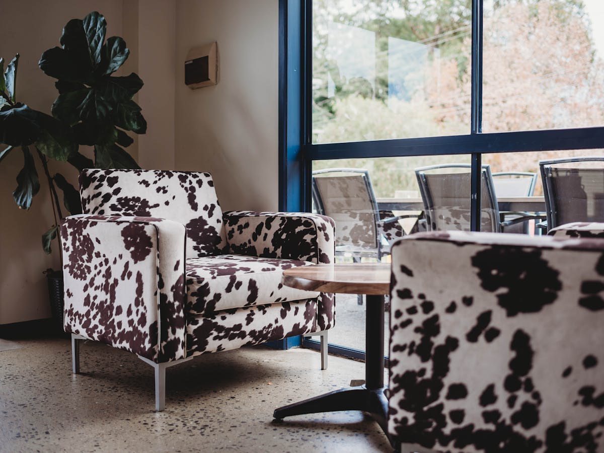 comfort chairs inside cafe