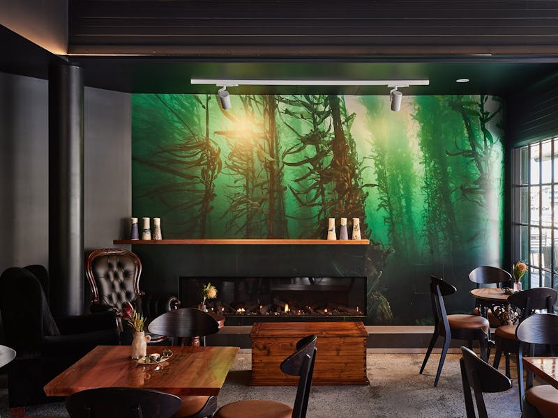 Inside bar with wooden tables and chairs, low fireplace, and large photo mural of Giant Kelp
