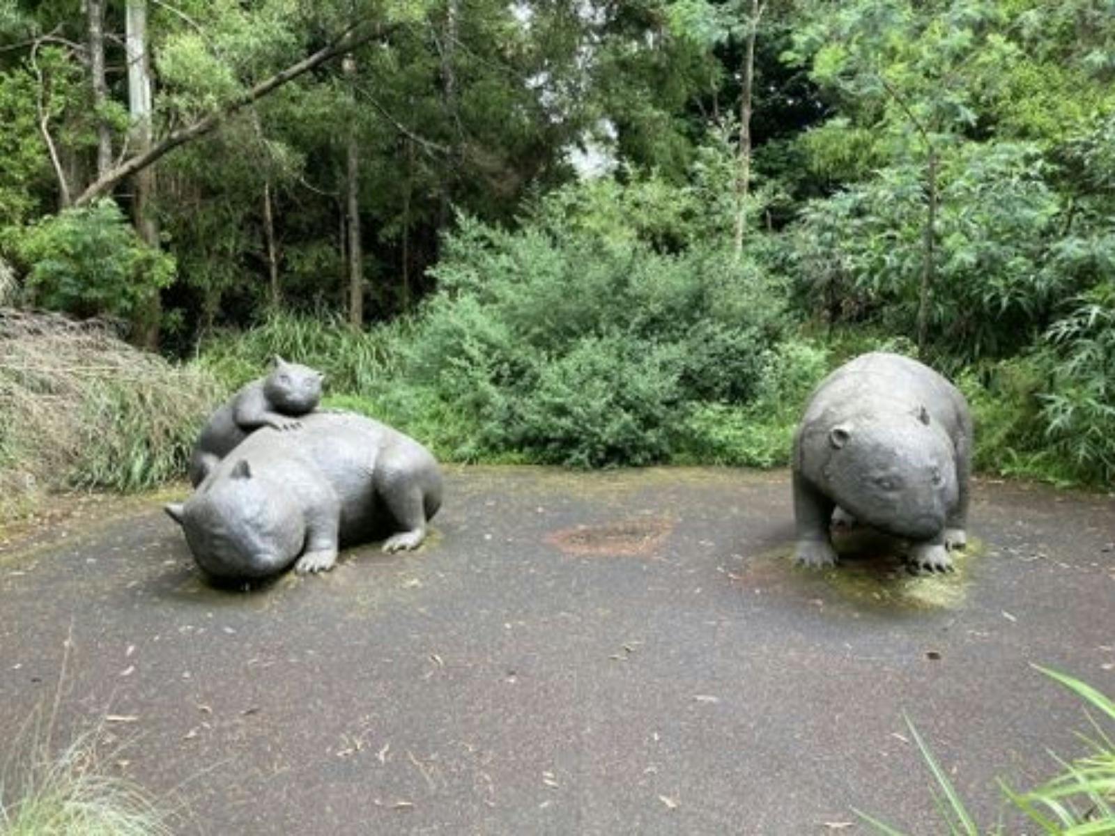 哈莫克山保護區