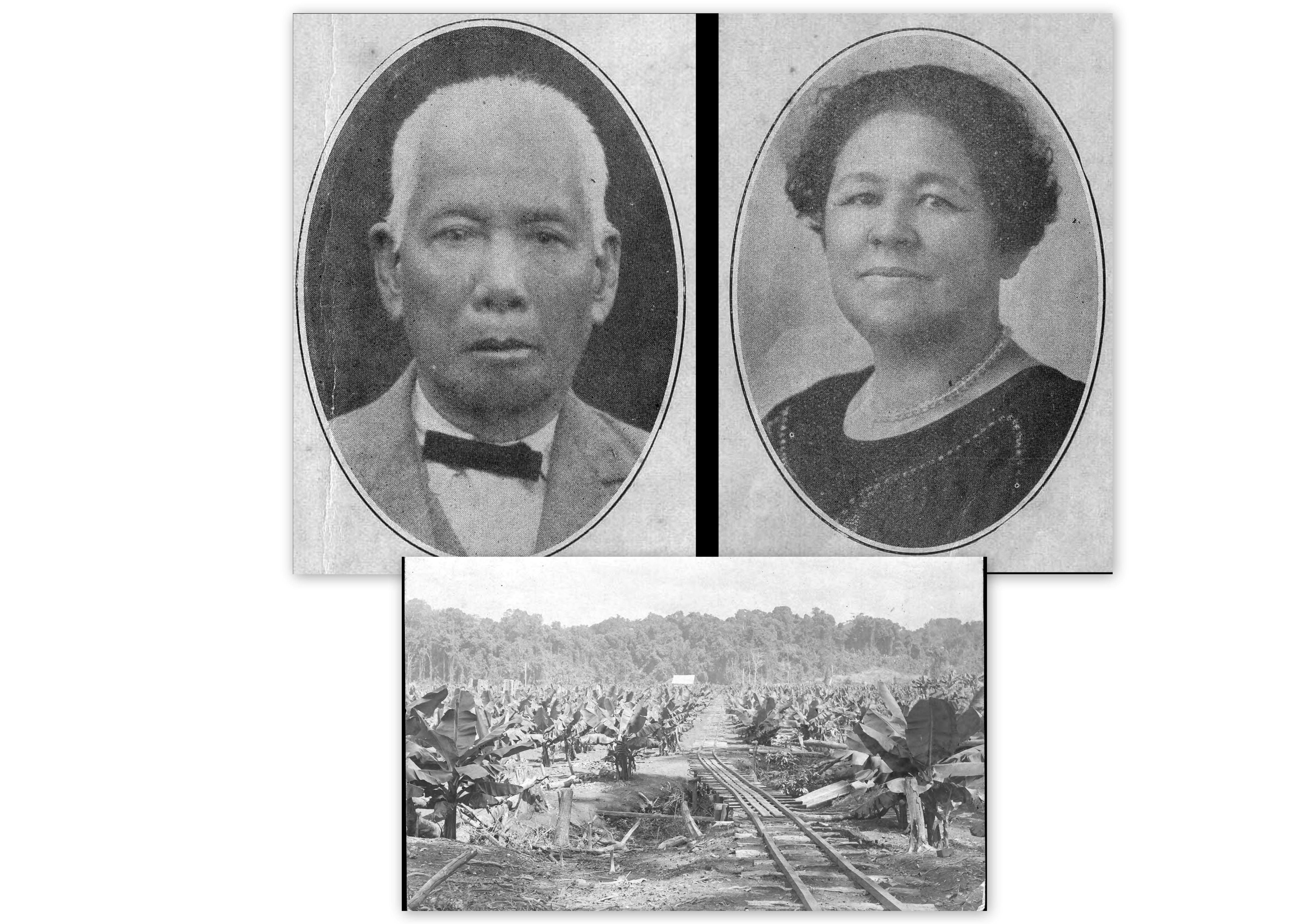 Chinese Pioneers and banana plantation (SJ Book)