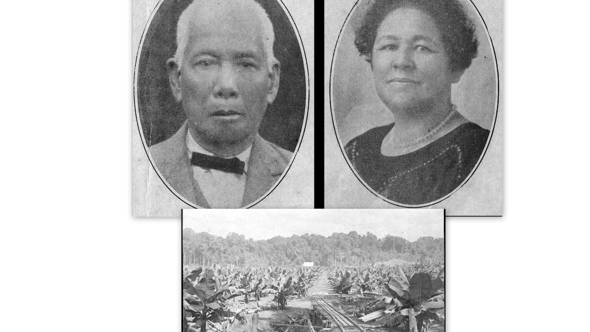 Chinese Pioneers and banana plantation (SJ Book)