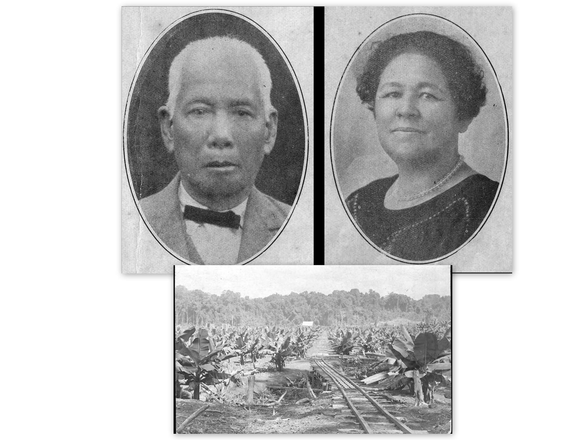Chinese Pioneers and banana plantation (SJ Book)