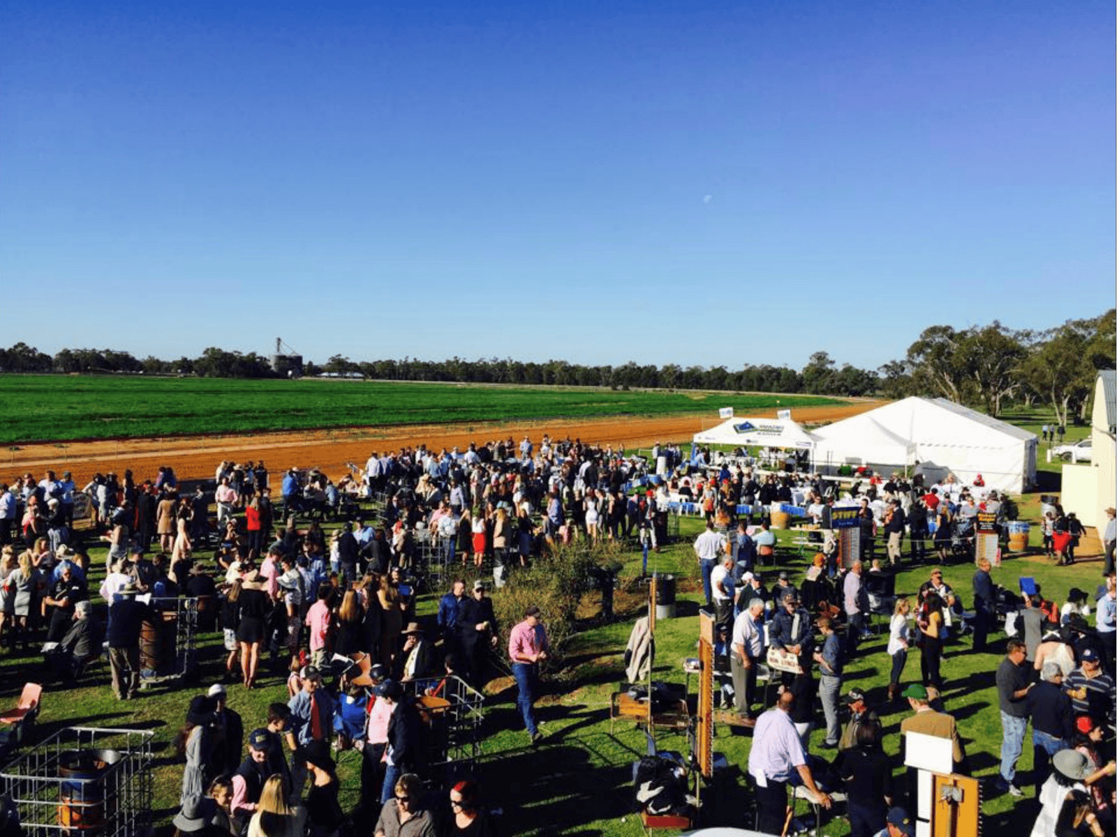 Duck Creek Picnic Races