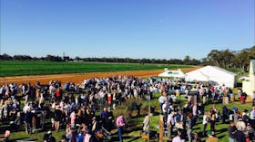 Duck Creek Picnic Races