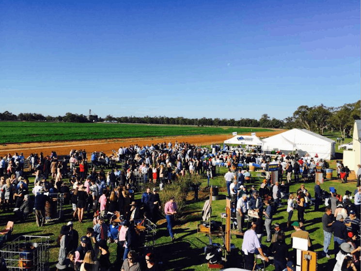 Duck Creek Picnic Races