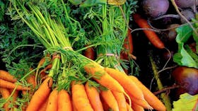 Dubbo Farmers Market