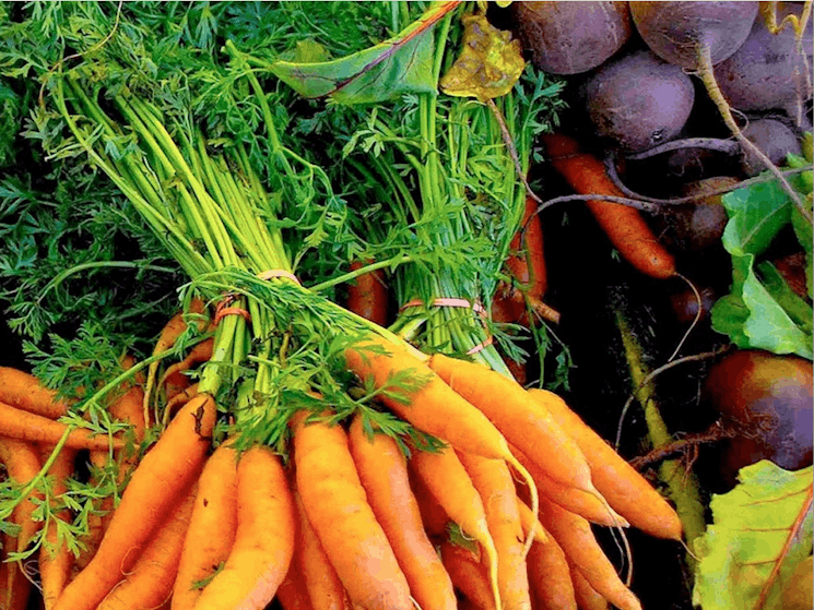 Dubbo Farmers Market