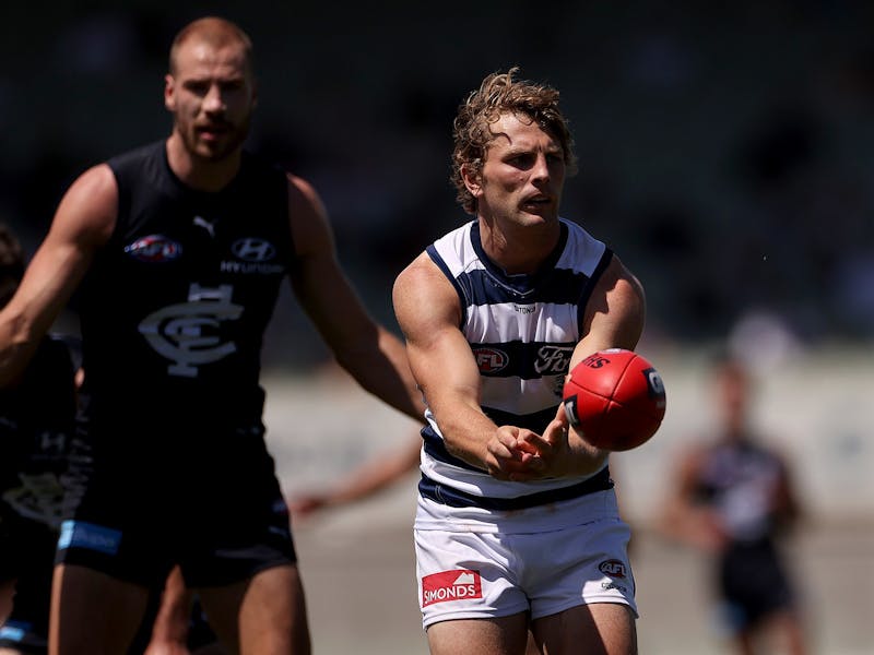 Image for AFL Round 7 - Geelong Cats vs Carlton Football Club