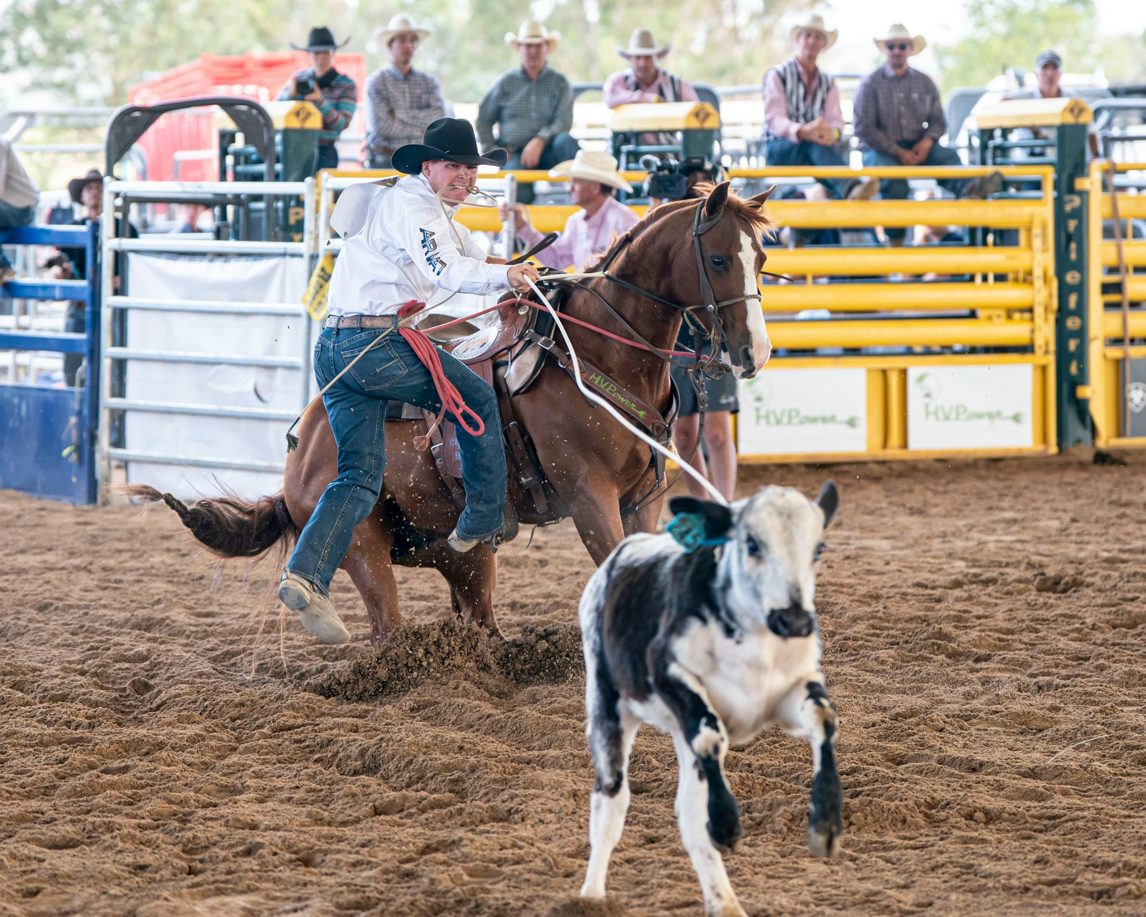 Rodeo Rope & Tie