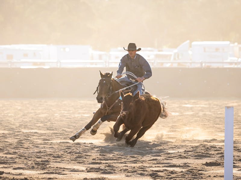 Image for Marrar Madness