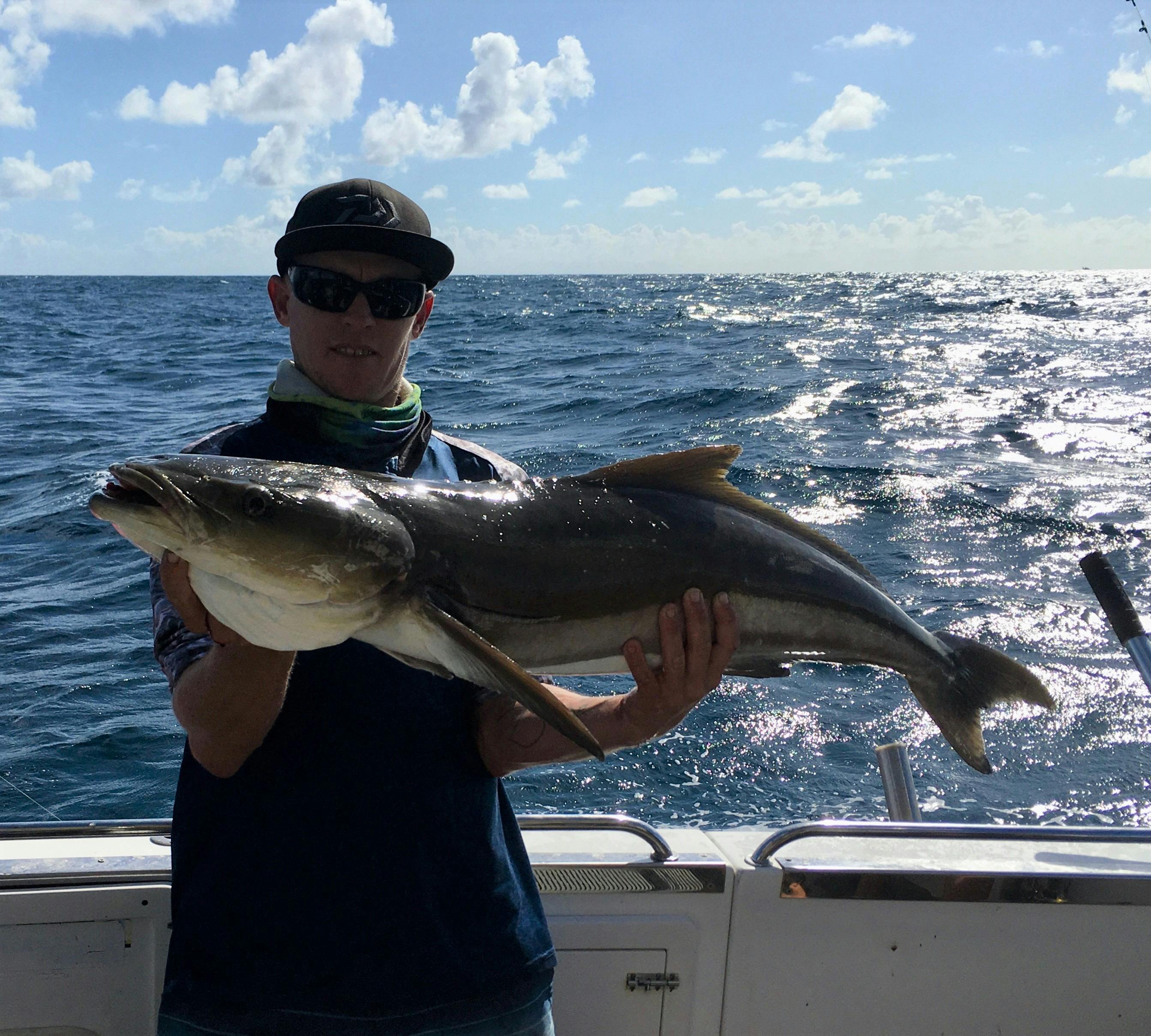 Cobia - black kingfish caught on Prospector