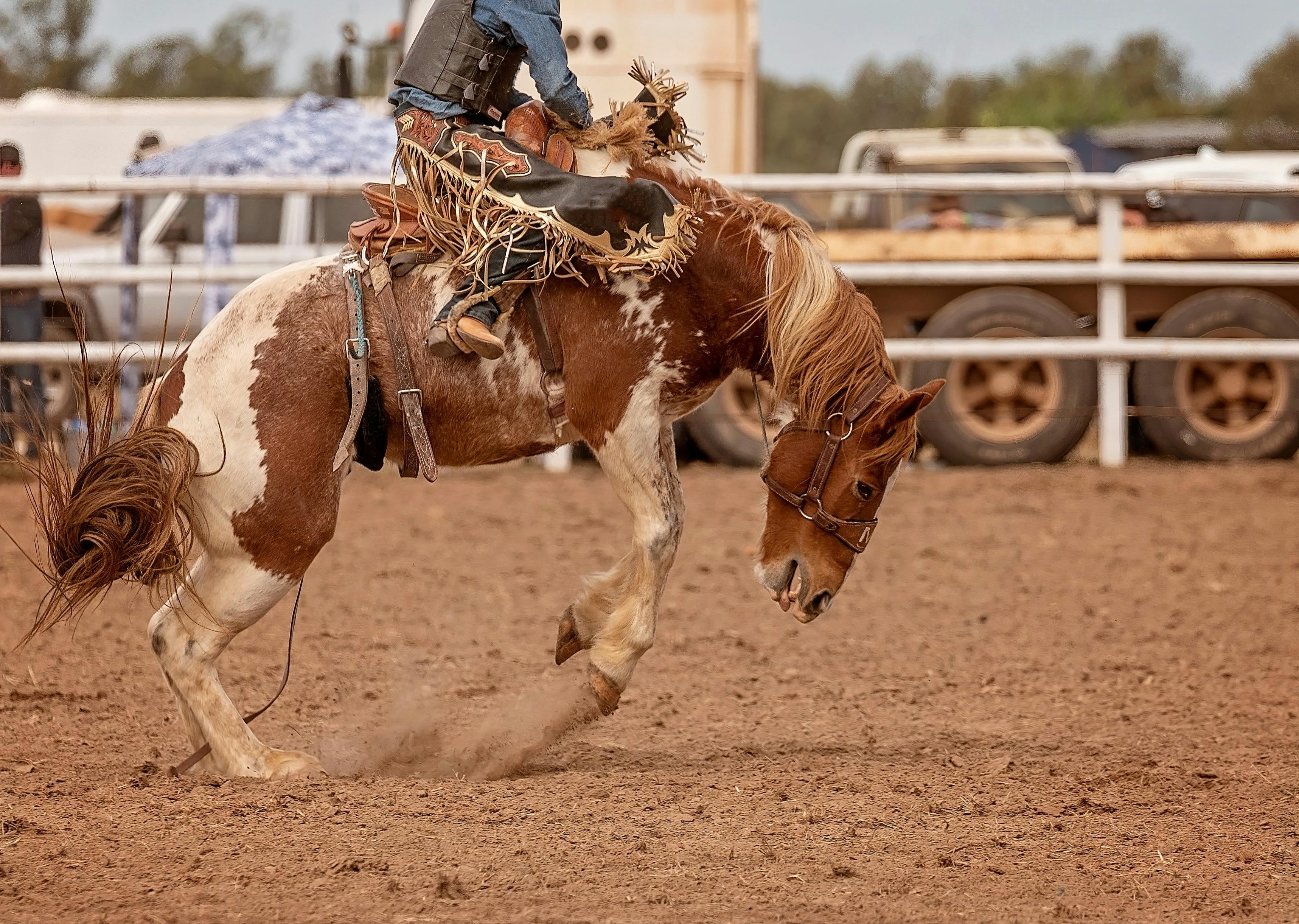 National Rodeo Championships