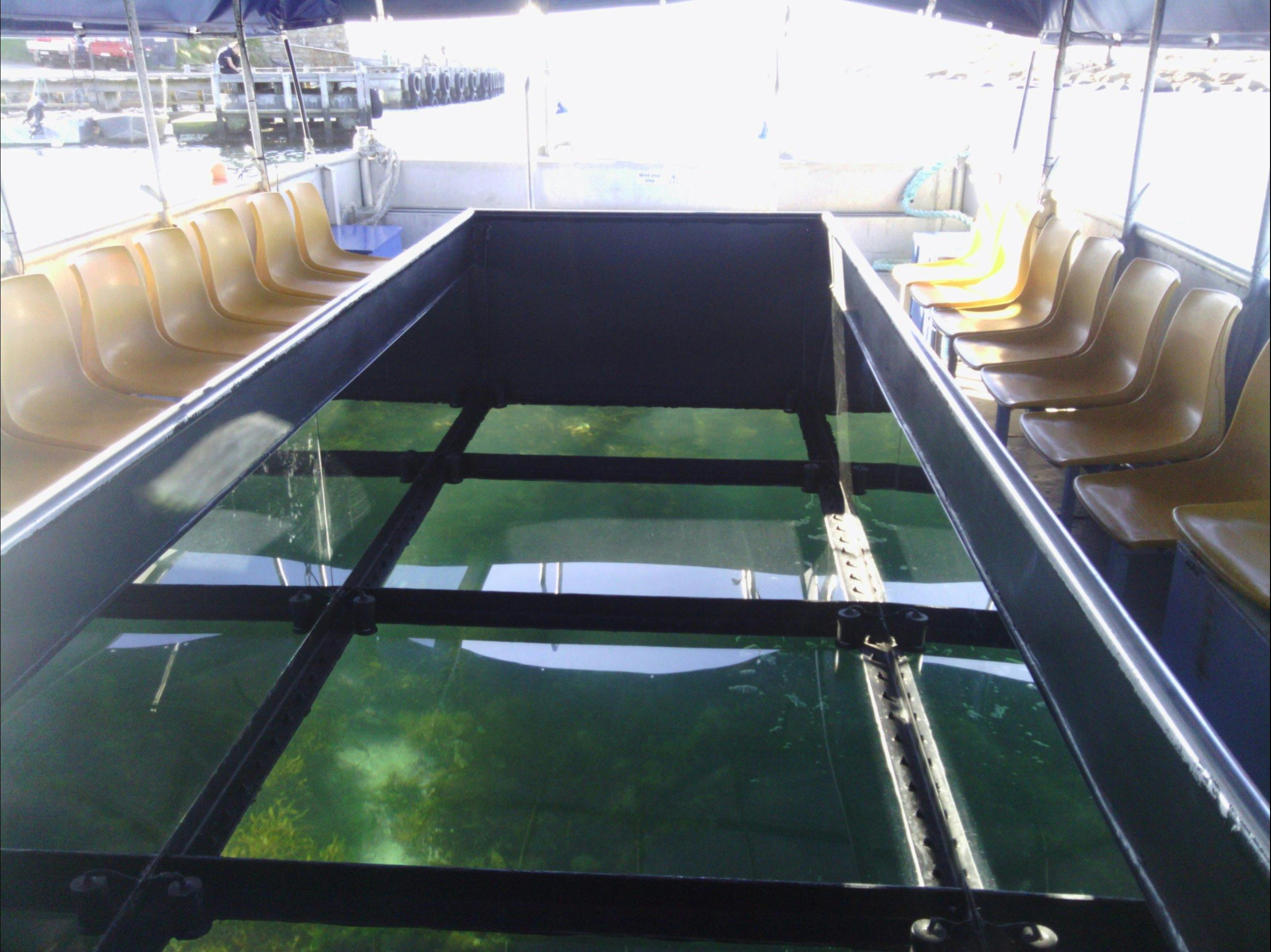 4 glass  windows/ 11 seats each side