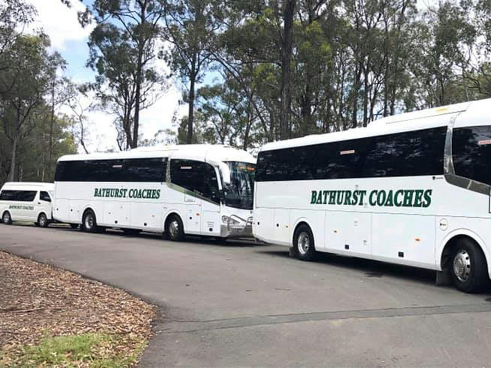 convoy of parked coaches