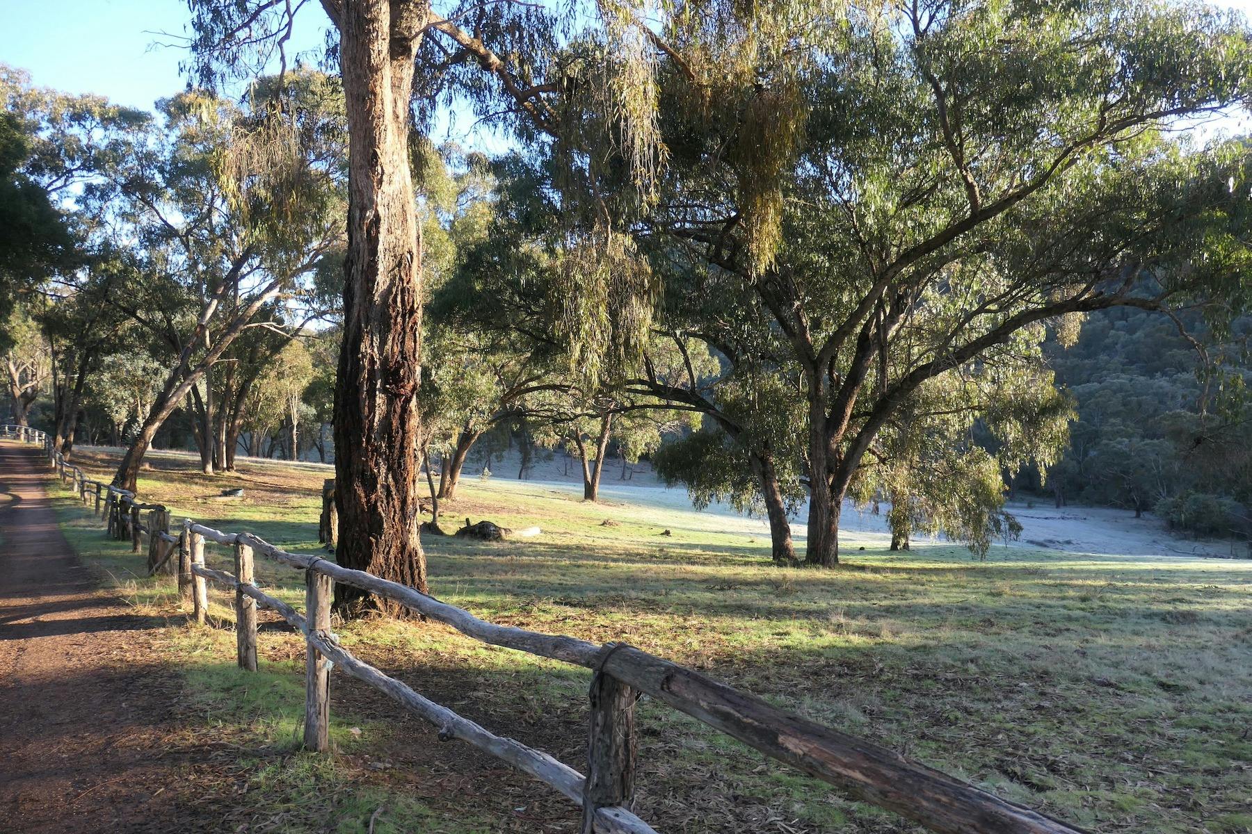 Horse paddock next to The Stables with bush timber post and rail fencing