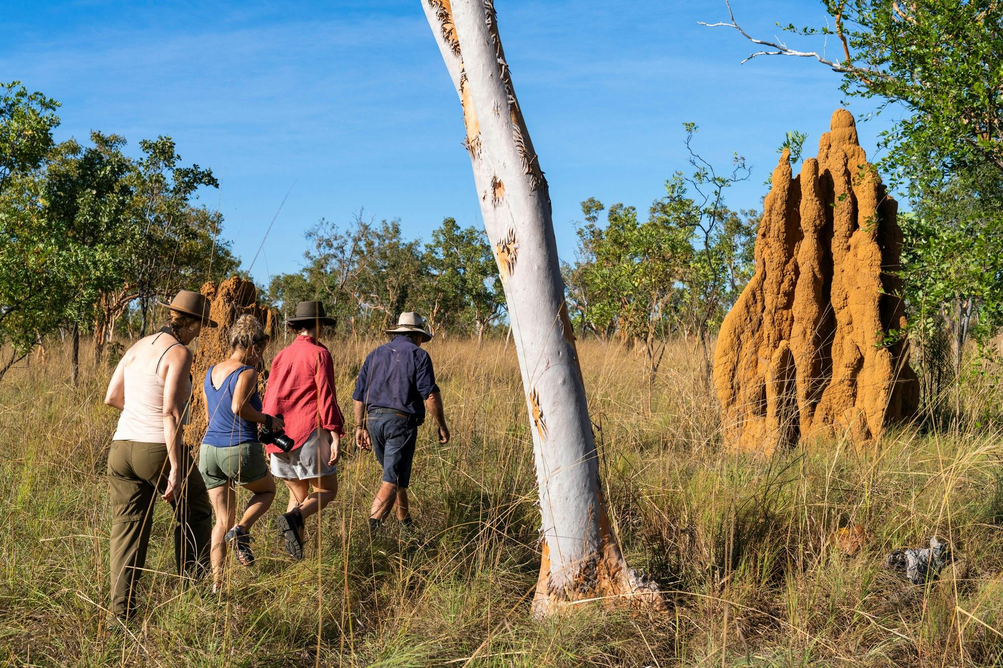 Kakadu-Termite-Mound